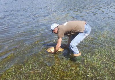 31131601 180859866067722 4969618456753209344 n