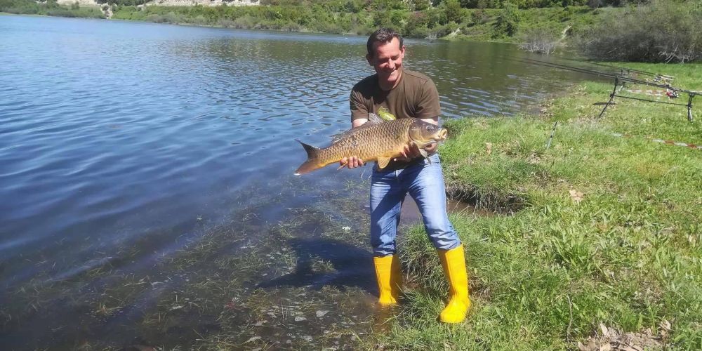 31143973 180860359401006 8238847597104594944 n