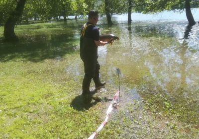 311440280861499400892 8871053365597962240 n