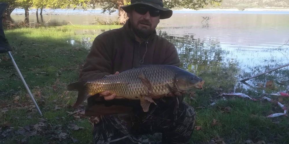 31150340 180895279397514 2923114854296322048 n