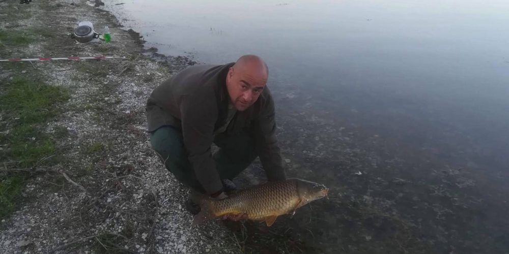 31162307 180858279401214 6189698608325984256 n