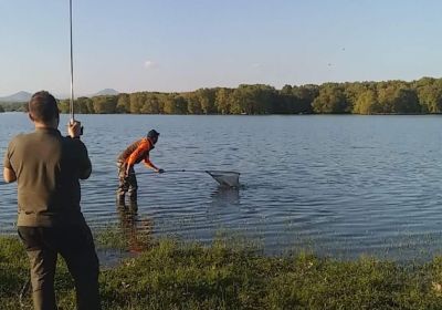 31164061 180903496063359 7010255176833433600 n