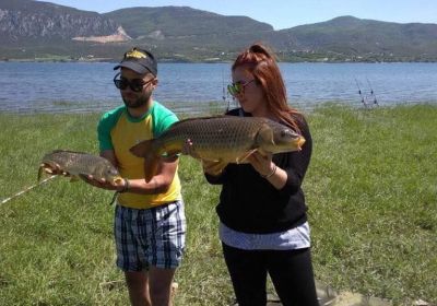 31165499 180891859397856 2925698096736239616 n 31165499 180891859397856 2925698096736239616 n