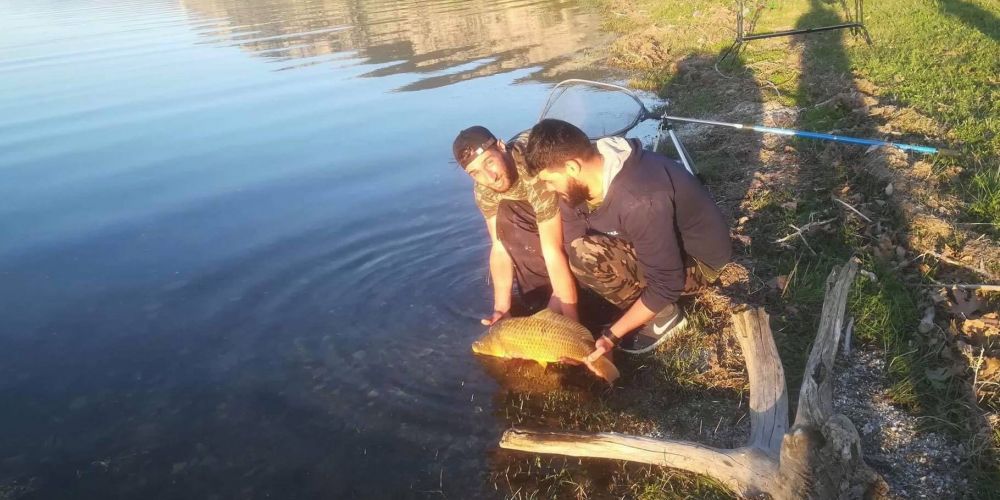 31166457 180858169401225 1941113742192279552 n