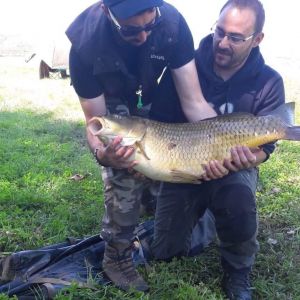 31171441 180891709397871 213868682483335168 n