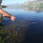 31171482 180858999401142 4396540790059302912 n