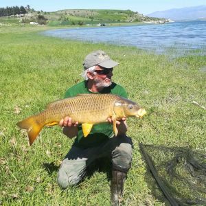 31171520 180892906064418 7238950941121052672 n