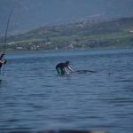 31172041 180902402730135 3372699261903831040 n