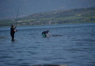 31172041 180902402730135 3372699261903831040 n