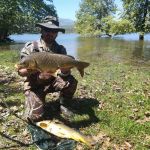 31172100 180893232731052 8660477604475699200 n