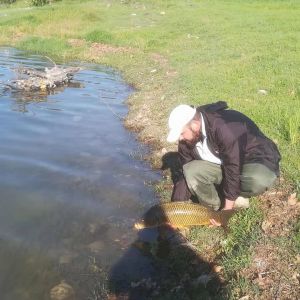 31178303 180895192730856 3662571333469863936 n