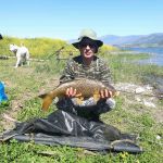 31179406 180892829397759 8122055973058641920 n