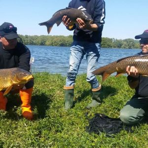 31179889 180903602730015 6563165750087909376 n