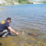 31180166 180894479397594 8116479224312758272 n