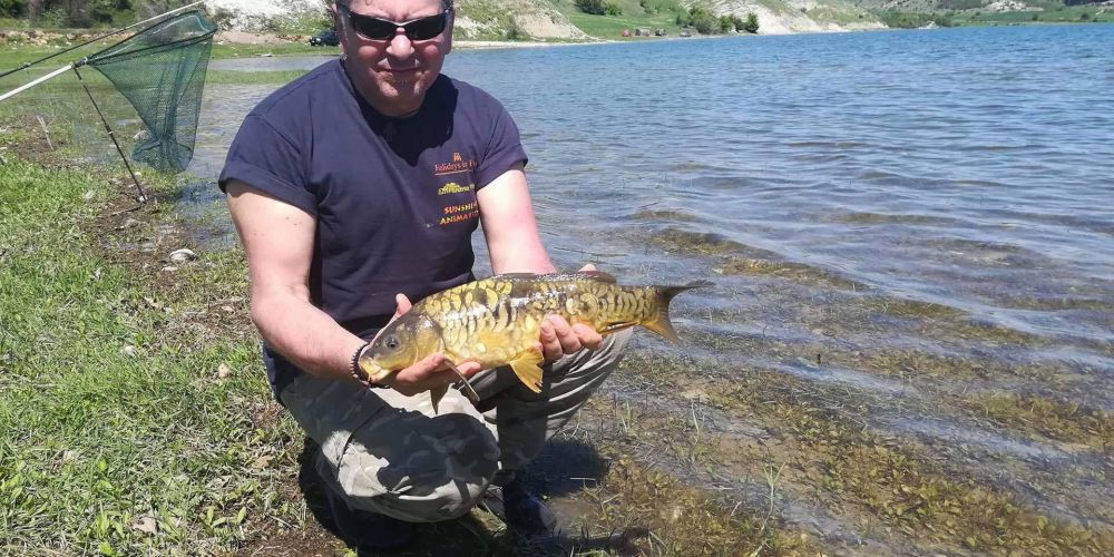 31180280 180894522730923 7776521868365791232 n