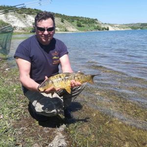 31180280 180894522730923 7776521868365791232 n