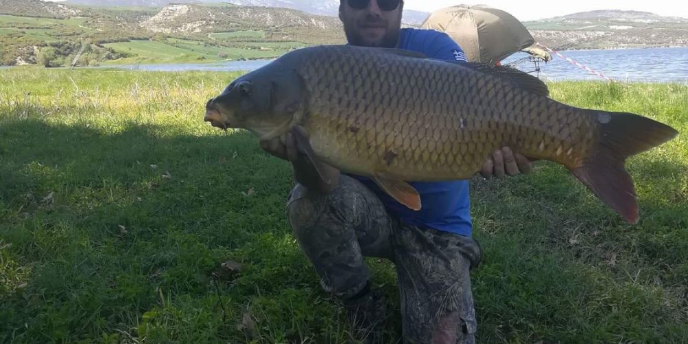 31183528 180893056064403 8766089080757813248 n