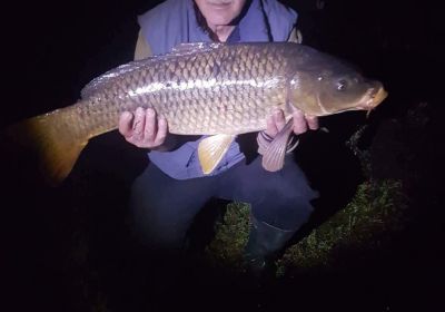 31183591 180891936064515 5100596830224252928 n