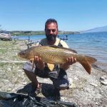 31195547 180894456064263 8856914247360184320 n