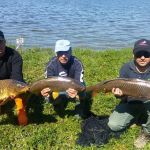 31206446 180903549396687 8736903399296991232 n