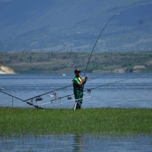 31218609 180902549396787 19212647140425728 n