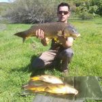 31218612 180860376067671 7720631257079480320 n