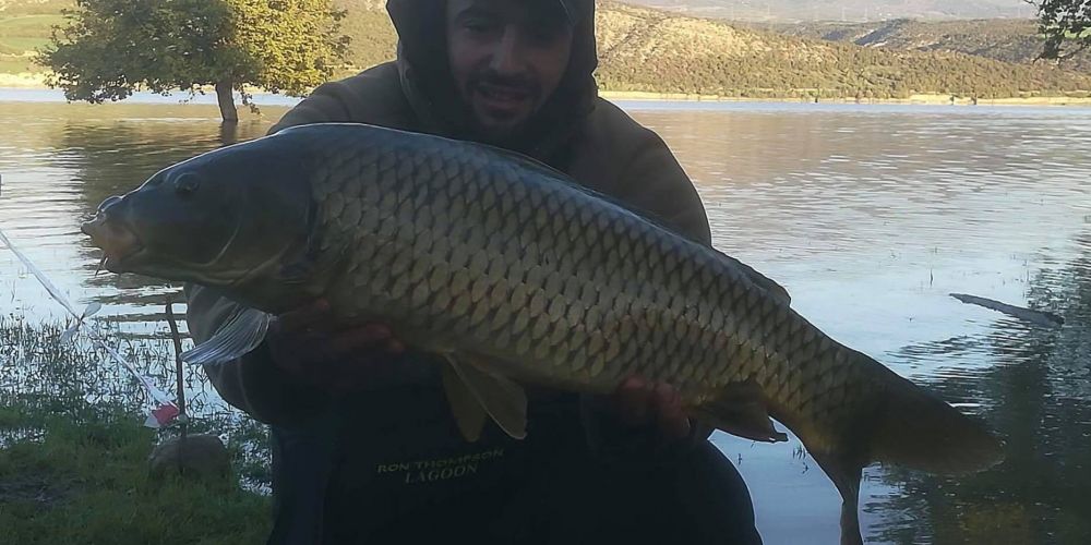 31224230 180895346064174 239601193058304000 n