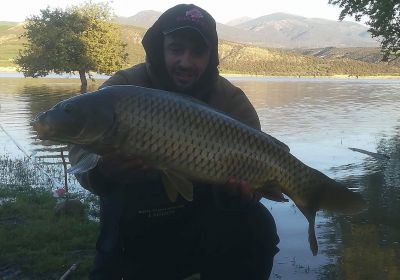 31224230 180895346064174 239601193058304000 n