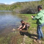 31225292 180860202734355 6280018446256177152 n