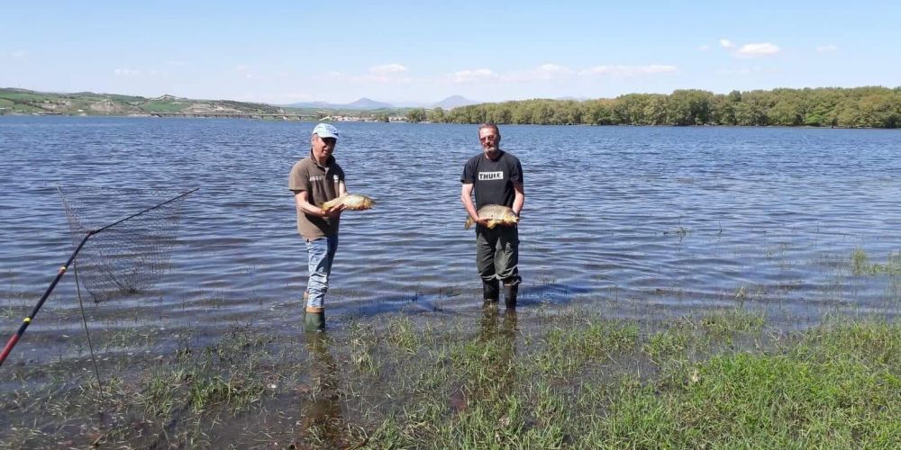 31225357 180892059397836 2011691930450132992 n