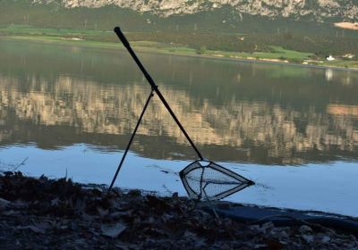 31225941 180902679396774 4275854360820318208 n 31225941 180902679396774 4275854360820318208 n