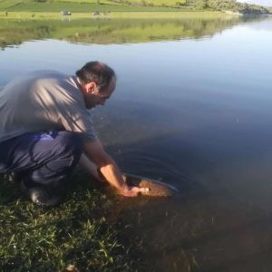 31230255 180858832734492 6766838910354980864 n