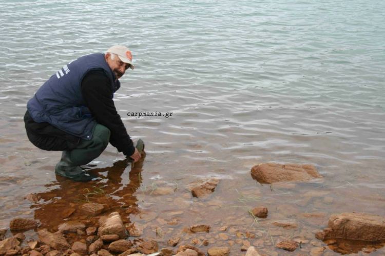 12994371 1372577896101014 8531256221753508520 n