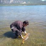 31230491 180892152731160 1763304011693293568 n