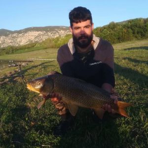 31230501 180858469401195 2085000575446941696 n