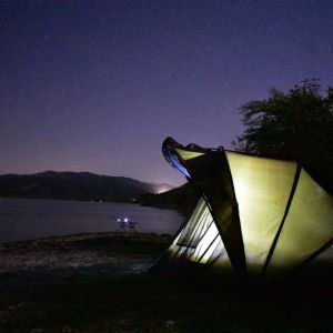 31230597 180902599396782 6173270929649434624 n