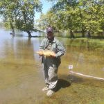 31232238 180891546064554 594662175163809792 n