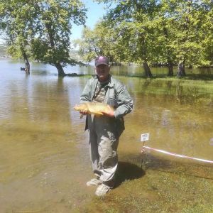 31232238 180891546064554 594662175163809792 n