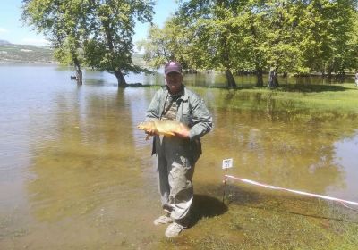 31232238 180891546064554 594662175163809792 n