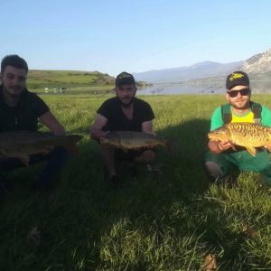 31237157 180858729401169 1821840301359104000 n