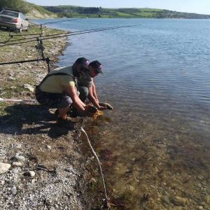 31239389 180894969397545 3521924185456640000 n