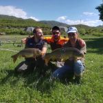 31239408 180859912734384 4497229417776414720 n