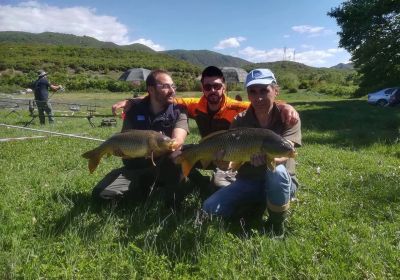 31239408 180859912734384 4497229417776414720 n