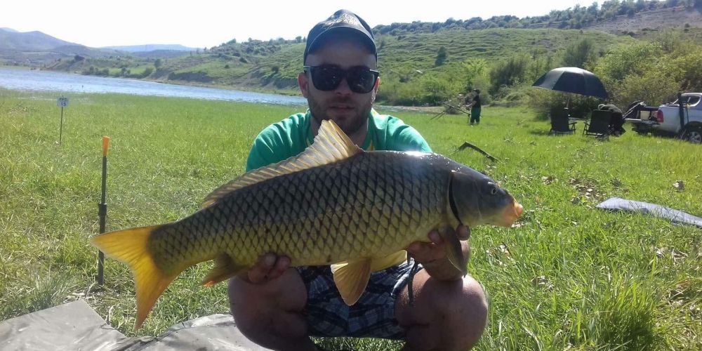 31247939 180892132731162 6964119007506989056 n