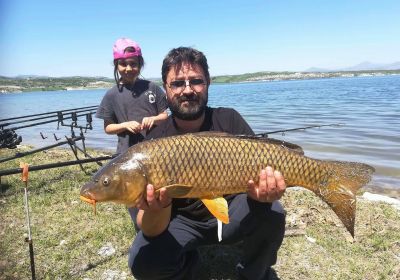 31252808 180893256064383 1455809517513080832 n