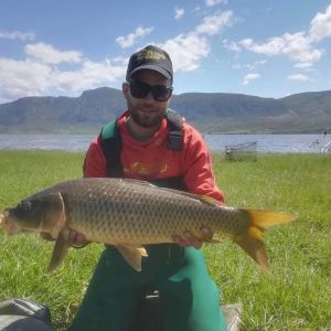 31252954 180891782731197 428667027817758720 n