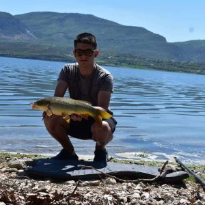 31265479 180902459396796 1642248382770577408 n