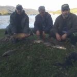 31265505 180895366064172 17103886917566464 n