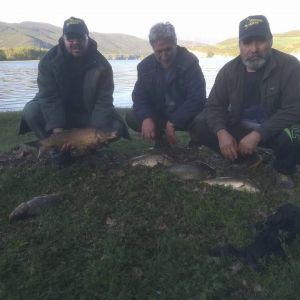 31265505 180895366064172 17103886917566464 n