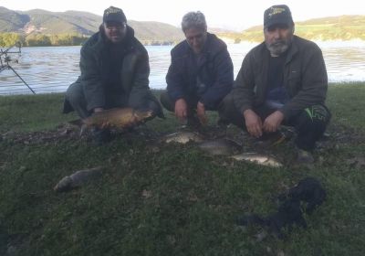 31265505 180895366064172 17103886917566464 n